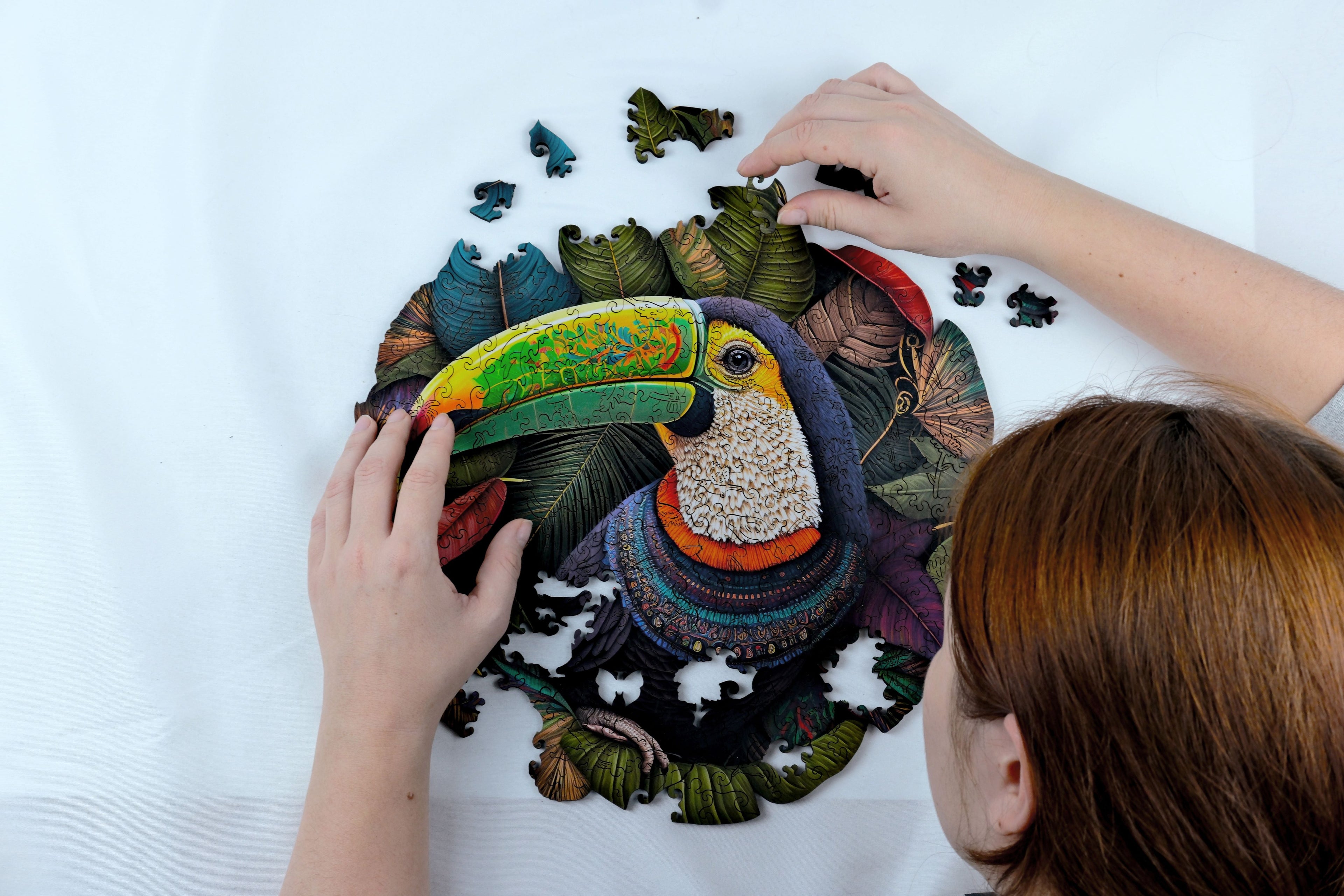 Puzzles de arte e ingenio